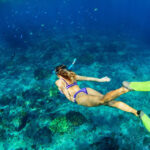 Scuba Diving Types and Difference